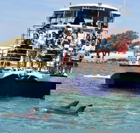 Mandurah Dolphin and Scenic Marine Cruise - Accommodation Gladstone