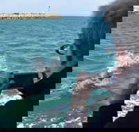 Mandurah Dolphin Island Adventure - Accommodation Gladstone