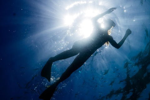 Ningaloo Reef Or Muiron Islands Snorkeling And Wildlife Adventure - Accommodation Gladstone 6
