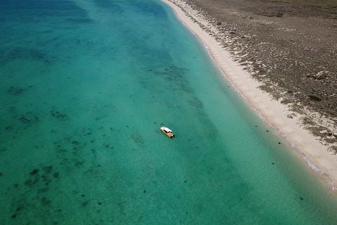 Ningaloo Reef Or Muiron Islands Snorkeling And Wildlife Adventure - Accommodation Gladstone 10