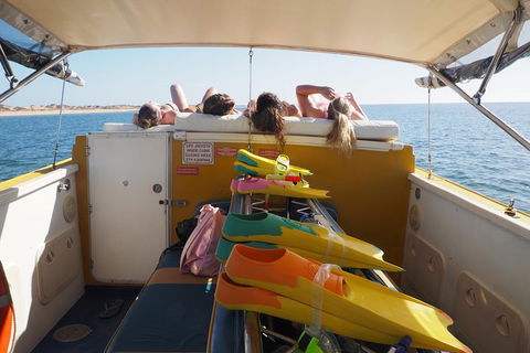 Ningaloo Reef Or Muiron Islands Snorkeling And Wildlife Adventure - Accommodation Gladstone 11