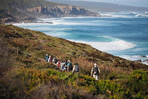 8-Day Cape To Cape Track Guided Walking Tour From Perth - Accommodation Gladstone 0