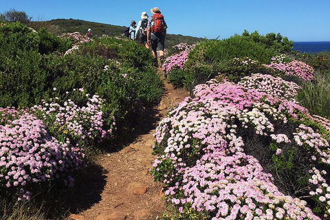 8-Day Cape To Cape Track Guided Walking Tour From Perth - Accommodation Gladstone 4