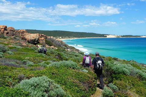 8-Day Cape To Cape Track Guided Walking Tour From Perth - Accommodation Gladstone 7