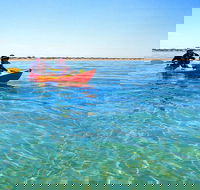 Turtle Tour - Ningaloo Reef Half Day Sea Kayak and Snorkel Tour - Accommodation Gladstone