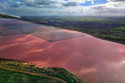 Kalbarri, Pink Lake And Abrolhos Islands Nature Tour - Accommodation Gladstone 3