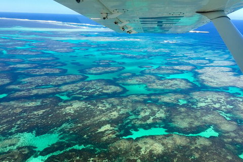 Kalbarri, Pink Lake And Abrolhos Islands Nature Tour - Accommodation Gladstone 5