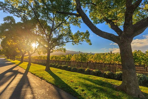 VIP Swan Valley Wine Tour - Premium Small Group Wine & Gourmet Experience - Accommodation Gladstone 1