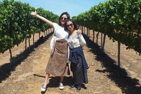 VIP Swan Valley Wine Tour - Premium Small Group Wine & Gourmet Experience - Accommodation Gladstone 3