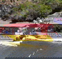 Kalgan Queen Scenic Cruises a four hour sheltered water wildlife tour daily fun. - Accommodation Gladstone