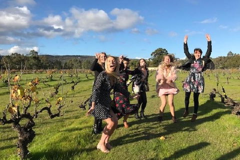 VW Kombi Food, Wine And More Tour (bring The Kids!) - Accommodation Gladstone 3