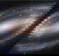Dusk to Dawn Astronomy Experience at Bullara Station Stay - Accommodation Gladstone