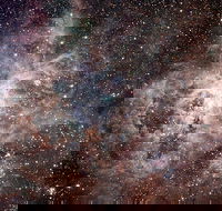 Overnight Astronomy Experience Ningaloo - Yardie Homestead - Accommodation Gladstone