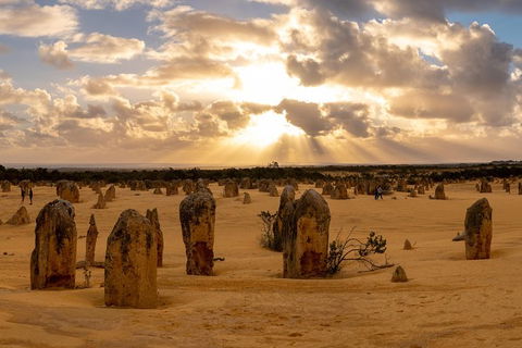 Half Day Pinnacles Sunset Tour - Accommodation Gladstone 1