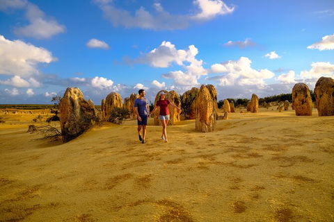 Half Day Pinnacles Sunset Tour - Accommodation Gladstone 3