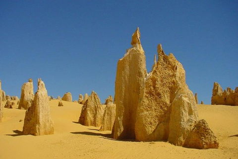 Half Day Pinnacles Sunset Tour - Accommodation Gladstone 5