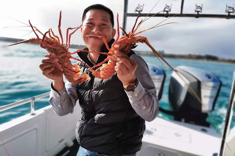 Premium Live Lobster Tours Presented Sashimi Or BBQ Style - Accommodation Gladstone 1