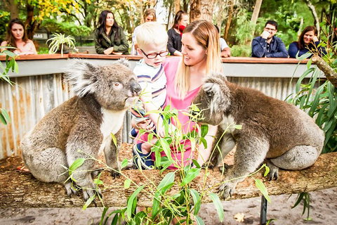 Perth's Outback Splash: General Entry Ticket - Accommodation Gladstone 1