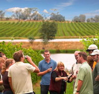 Yarra Valley Wine and Winery Tour from Melbourne - Accommodation Gladstone