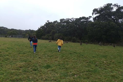 Private Tour: Great Ocean Road From Melbourne - Accommodation Gladstone 17