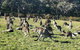 Private Tour: Great Ocean Road From Melbourne - thumb 20