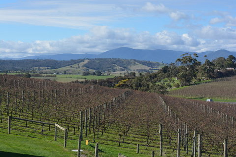 2-Day Yarra Valley Wine Tour With Luxury Vineyard Resort Stay - Accommodation Gladstone 2