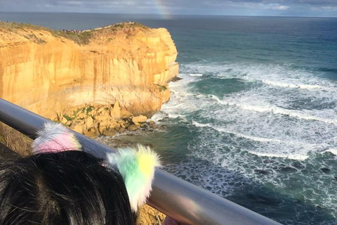 Great Ocean Road Private Tour - Accommodation Gladstone 7