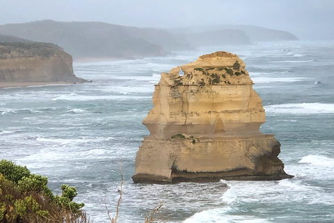 Great Ocean Road Private Tour - Accommodation Gladstone 4