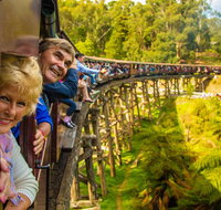 Puffing Billy Steam Train  Healesville Wildlife Sanctuary Tour From Melbourne - Accommodation Gladstone