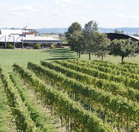 Puffing Billy Train and Yarra Valley Food and Wine Day Trip from Melbourne - Accommodation Gladstone