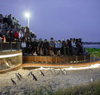 Small-Group Phillip Island Day Trip from Melbourne with Penguin Plus Viewing - Accommodation Gladstone
