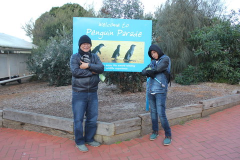 Phillip Island Tour From Melbourne - Accommodation Gladstone 15