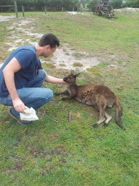 Phillip Island Tour From Melbourne - Accommodation Gladstone 24