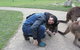 Phillip Island Tour From Melbourne - thumb 13