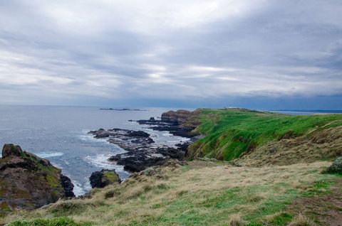 Phillip Island Tour From Melbourne - Accommodation Gladstone 17