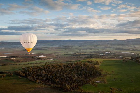 Yarra Valley Balloon Flight And Winery Tour - Accommodation Gladstone 12