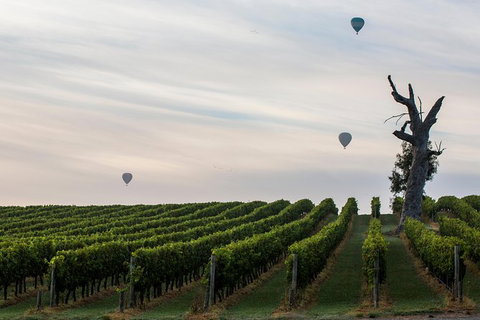 Yarra Valley Balloon Flight And Winery Tour - Accommodation Gladstone 19