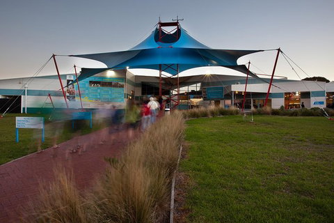 Express Expedition To Phillip Island Penguin Wildlife Encounter Evening Tour - Accommodation Gladstone 1