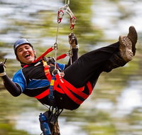 12 Apostles and Otway Fly Zipline Day Trip from Melbourne - Accommodation Gladstone