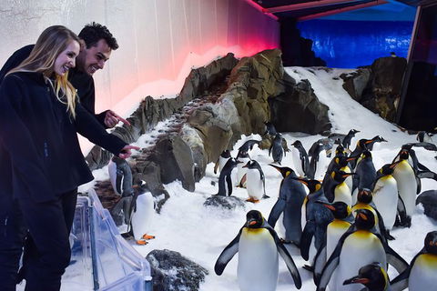 Penguin Passport At SEA LIFE Melbourne Aquarium - Accommodation Gladstone 0