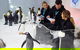 Penguin Passport At SEA LIFE Melbourne Aquarium - thumb 7
