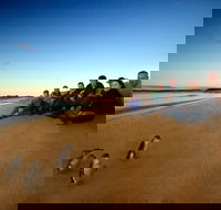 Phillip Island Ultimate Penguin Eco Tour or Skybox Experience - Accommodation Gladstone