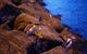 Nightlife In Melbourne: St Kilda - thumb 3