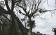 Full-Day Great Ocean Road And 12 Apostles Sunset Tour From Melbourne - thumb 9