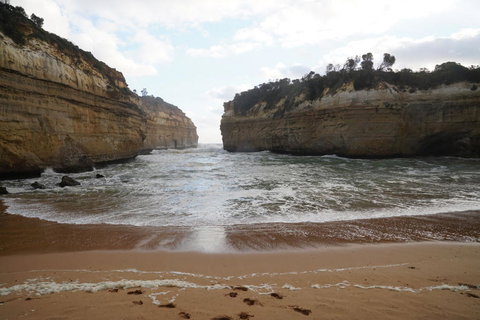 Full-Day Great Ocean Road And 12 Apostles Sunset Tour From Melbourne - Accommodation Gladstone 5