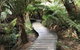 Full-Day Great Ocean Road And 12 Apostles Sunset Tour From Melbourne - thumb 8