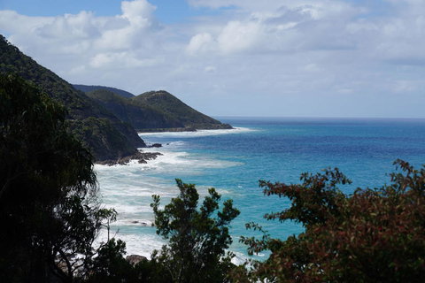 Full-Day Great Ocean Road And 12 Apostles Sunset Tour From Melbourne - Accommodation Gladstone 4