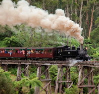 Melbourne Combo Great Ocean Road Puffing Billy Moonlit Sanctuary  Penguins - Accommodation Gladstone