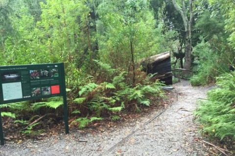 Wilsons Promontory Walking And Sightseeing Tour From Phillip Island - Accommodation Gladstone 1