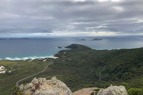 Wilsons Promontory Walking And Sightseeing Tour From Phillip Island - Accommodation Gladstone 7